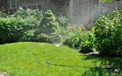 Welcome to EcoGreen Lawncare: A Lawn Service That’s Safer By Nature