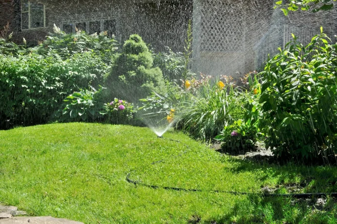 EcoGreen Lawncare A Lawn Service That’s Safer By Nature