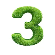 Green Transformation