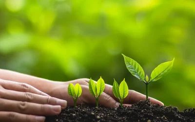EcoGreen Lawn Care: Positive Business Leadership In Action